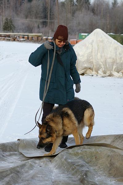 Soveltuvuustesti (54).jpg